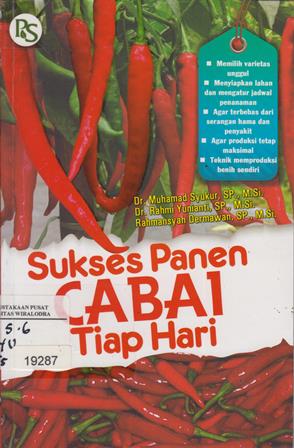 20-01-2016_Suksen_Panen_Cabai_Tiap_Hari_001.jpg.jpg