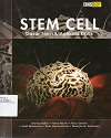 Stem_Cell932.jpg.jpg