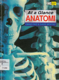 At A Glance: Anatomi